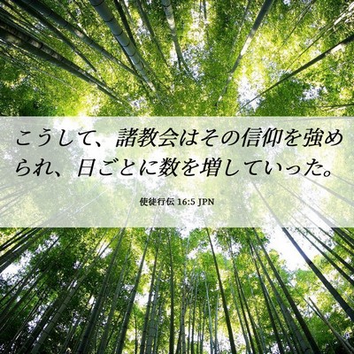 Picture 06 - 使徒行伝 16:5 JPN - こうして、諸教会はその信仰を強め - Bible Verse Picture