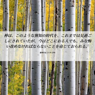 Picture 06 - 使徒行伝 17:30 JPN - 神は、このような無知の時代を、こ - Bible Verse Picture