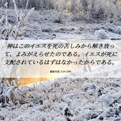 Picture 06 - 使徒行伝 2:24 JPN - 神はこのイエスを死の苦しみから解 - Bible Verse Picture