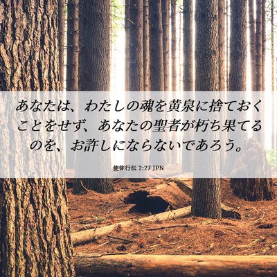 Picture 06 - 使徒行伝 2:27 JPN - あなたは、わたしの魂を黄泉に捨て - Bible Verse Picture