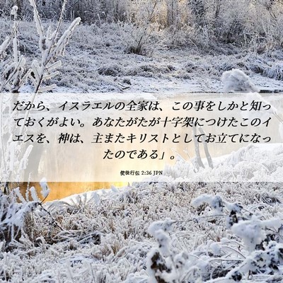 Picture 06 - 使徒行伝 2:36 JPN - だから、イスラエルの全家は、この - Bible Verse Picture
