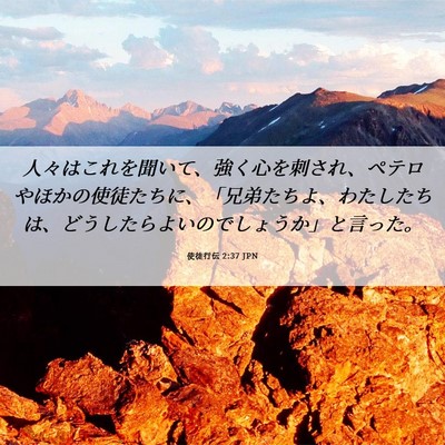 Picture 06 - 使徒行伝 2:37 JPN - 人々はこれを聞いて、強く心を刺さ - Bible Verse Picture
