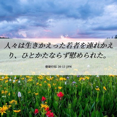Picture 06 - 使徒行伝 20:12 JPN - 人々は生きかえった若者を連れかえ - Bible Verse Picture