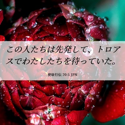 Picture 06 - 使徒行伝 20:5 JPN - この人たちは先発して、トロアスで - Bible Verse Picture