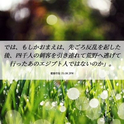 Picture 06 - 使徒行伝 21:38 JPN - では、もしかおまえは、先ごろ反乱 - Bible Verse Picture