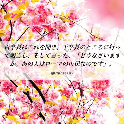 Picture 06 - 使徒行伝 22:26 JPN - 百卒長はこれを聞き、千卒長のとこ - Bible Verse Picture