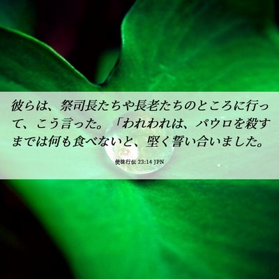 Picture 06 - 使徒行伝 23:14 JPN - 彼らは、祭司長たちや長老たちのと - Bible Verse Picture