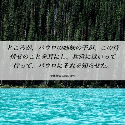 Picture 06 - 使徒行伝 23:16 JPN - ところが、パウロの姉妹の子が、こ - Bible Verse Picture