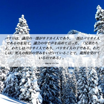 Picture 06 - 使徒行伝 23:6 JPN - パウロは、議員の一部がサドカイ人 - Bible Verse Picture