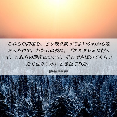Picture 06 - 使徒行伝 25:20 JPN - これらの問題を、どう取り扱ってよ - Bible Verse Picture