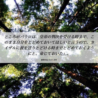 Picture 06 - 使徒行伝 25:21 JPN - ところがパウロは、皇帝の判決を受 - Bible Verse Picture