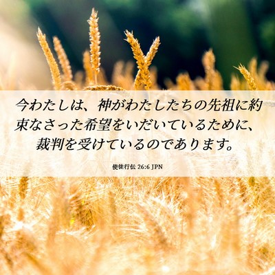Picture 06 - 使徒行伝 26:6 JPN - 今わたしは、神がわたしたちの先祖 - Bible Verse Picture