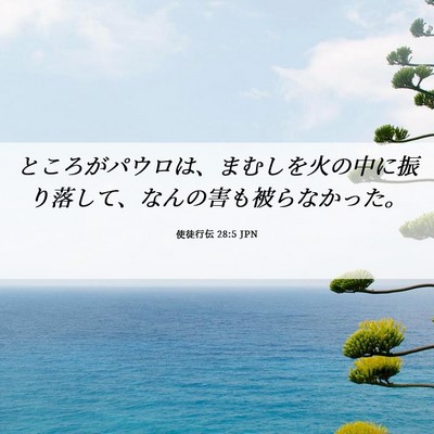 Picture 06 - 使徒行伝 28:5 JPN - ところがパウロは、まむしを火の中 - Bible Verse Picture