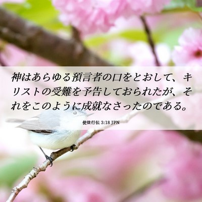 Picture 06 - 使徒行伝 3:18 JPN - 神はあらゆる預言者の口をとおして - Bible Verse Picture