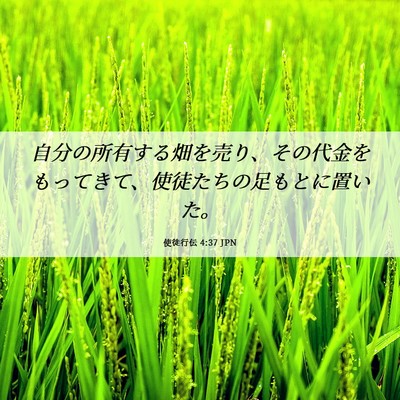 Picture 06 - 使徒行伝 4:37 JPN - 自分の所有する畑を売り、その代金 - Bible Verse Picture