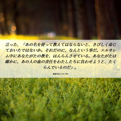 Picture 06 - 使徒行伝 5:28 JPN - 言った、「あの名を使って教えては - Bible Verse Picture