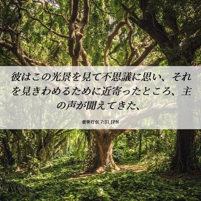 Picture 06 - 使徒行伝 7:31 JPN - 彼はこの光景を見て不思議に思い、 - Bible Verse Picture