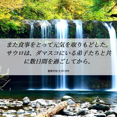 Picture 06 - 使徒行伝 9:19 JPN - また食事をとって元気を取りもどし - Bible Verse Picture