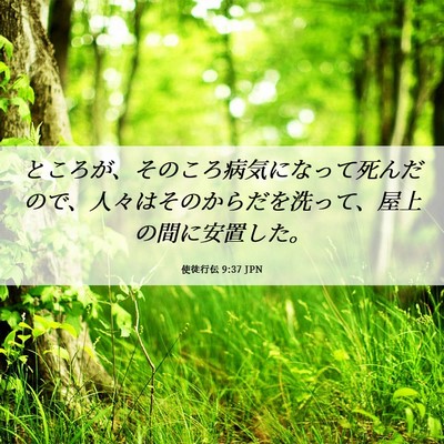 Picture 06 - 使徒行伝 9:37 JPN - ところが、そのころ病気になって死 - Bible Verse Picture