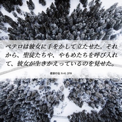 Picture 06 - 使徒行伝 9:41 JPN - ペテロは彼女に手をかして立たせた - Bible Verse Picture