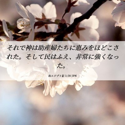 Picture 06 - 出エジプト記 1:20 JPN - それで神は助産婦たちに恵みをほど - Bible Verse Picture