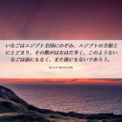 Picture 06 - 出エジプト記 10:14 JPN - いなごはエジプト全国にのぞみ、エ - Bible Verse Picture