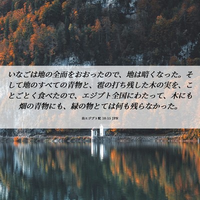Picture 06 - 出エジプト記 10:15 JPN - いなごは地の全面をおおったので、 - Bible Verse Picture