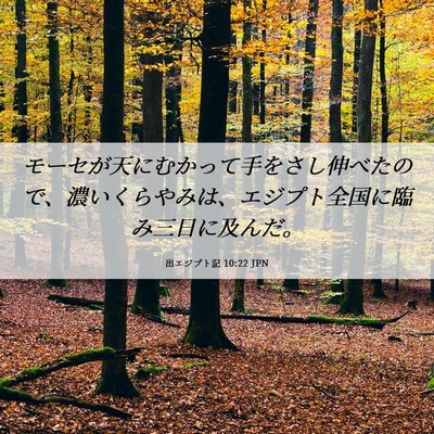 Picture 06 - 出エジプト記 10:22 JPN - モーセが天にむかって手をさし伸べ - Bible Verse Picture