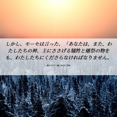 Picture 06 - 出エジプト記 10:25 JPN - しかし、モーセは言った、「あなた - Bible Verse Picture