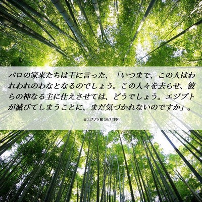 Picture 06 - 出エジプト記 10:7 JPN - パロの家来たちは王に言った、「い - Bible Verse Picture