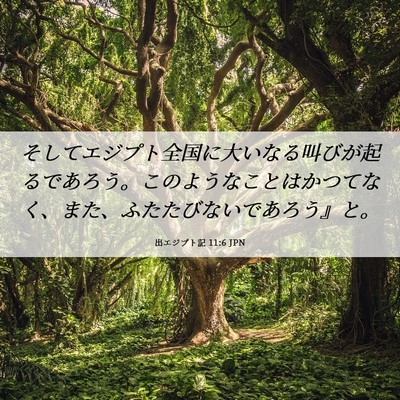 Picture 06 - 出エジプト記 11:6 JPN - そしてエジプト全国に大いなる叫び - Bible Verse Picture