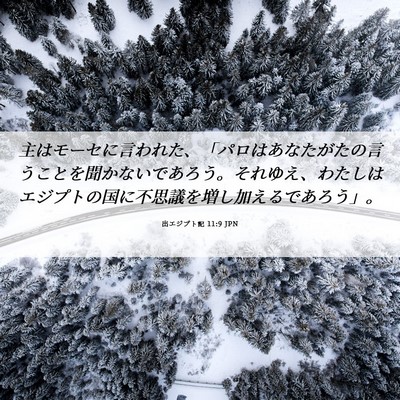 Picture 06 - 出エジプト記 11:9 JPN - 主はモーセに言われた、「パロはあ - Bible Verse Picture