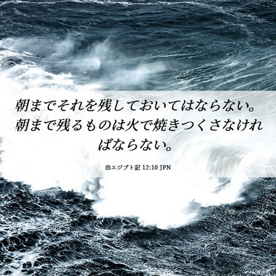 Picture 06 - 出エジプト記 12:10 JPN - 朝までそれを残しておいてはならな - Bible Verse Picture