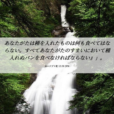 Picture 06 - 出エジプト記 12:20 JPN - あなたがたは種を入れたものは何も - Bible Verse Picture