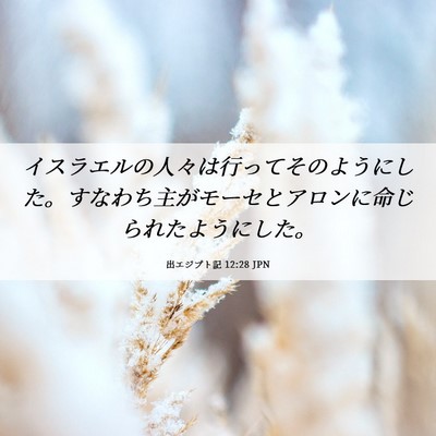 Picture 06 - 出エジプト記 12:28 JPN - イスラエルの人々は行ってそのよう - Bible Verse Picture
