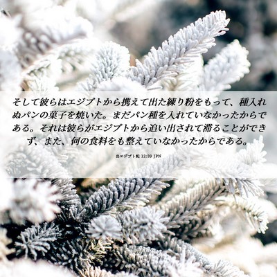 Picture 06 - 出エジプト記 12:39 JPN - そして彼らはエジプトから携えて出 - Bible Verse Picture