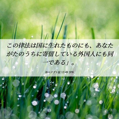 Picture 06 - 出エジプト記 12:49 JPN - この律法は国に生れたものにも、あ - Bible Verse Picture