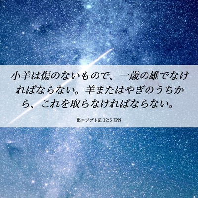 Picture 06 - 出エジプト記 12:5 JPN - 小羊は傷のないもので、一歳の雄で - Bible Verse Picture