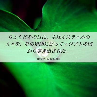 Picture 06 - 出エジプト記 12:51 JPN - ちょうどその日に、主はイスラエル - Bible Verse Picture