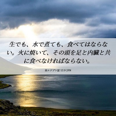 Picture 06 - 出エジプト記 12:9 JPN - 生でも、水で煮ても、食べてはなら - Bible Verse Picture