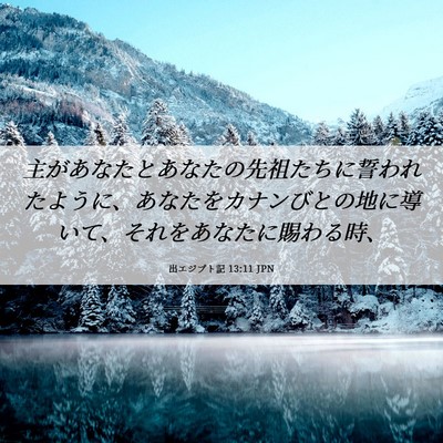 Picture 06 - 出エジプト記 13:11 JPN - 主があなたとあなたの先祖たちに誓 - Bible Verse Picture