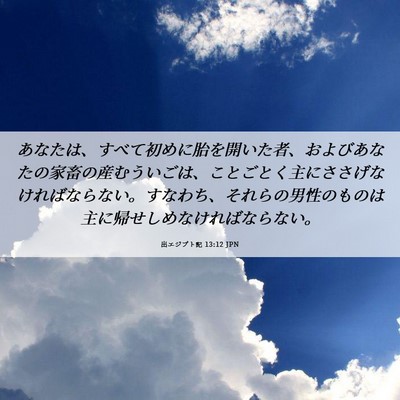 Picture 06 - 出エジプト記 13:12 JPN - あなたは、すべて初めに胎を開いた - Bible Verse Picture