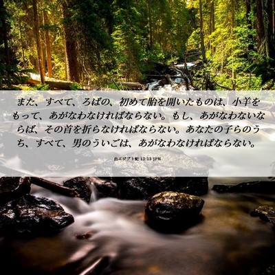Picture 06 - 出エジプト記 13:13 JPN - また、すべて、ろばの、初めて胎を - Bible Verse Picture