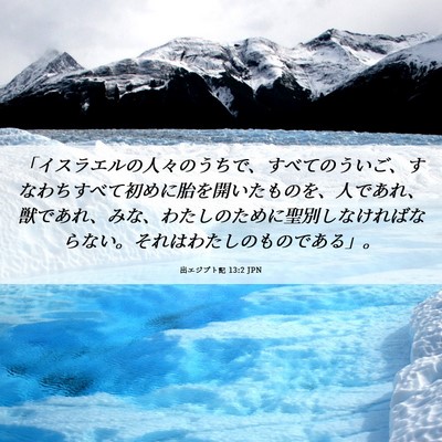 Picture 06 - 出エジプト記 13:2 JPN - 「イスラエルの人々のうちで、すべ - Bible Verse Picture