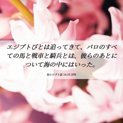 Picture 06 - 出エジプト記 14:23 JPN - エジプトびとは追ってきて、パロの - Bible Verse Picture