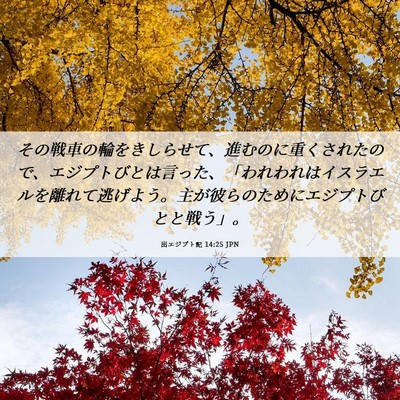 Picture 06 - 出エジプト記 14:25 JPN - その戦車の輪をきしらせて、進むの - Bible Verse Picture
