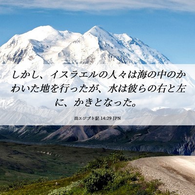 Picture 06 - 出エジプト記 14:29 JPN - しかし、イスラエルの人々は海の中 - Bible Verse Picture