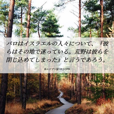 Picture 06 - 出エジプト記 14:3 JPN - パロはイスラエルの人々について、 - Bible Verse Picture