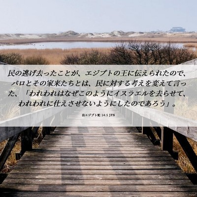 Picture 06 - 出エジプト記 14:5 JPN - 民の逃げ去ったことが、エジプトの - Bible Verse Picture