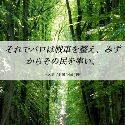 Picture 06 - 出エジプト記 14:6 JPN - それでパロは戦車を整え、みずから - Bible Verse Picture